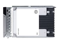 Dell - Kunden-Kit - SSD - Mixed Use - 960 GB - Hot-Swap