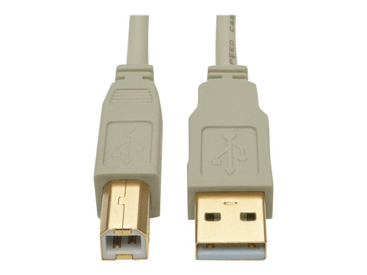 Eaton Tripp Lite Series USB 2.0 A to B Cable (M/M), Beige, 10 ft. (3.05 m) - USB-Kabel - USB (M) zu USB Typ B (M) - USB 2.0 - 3.