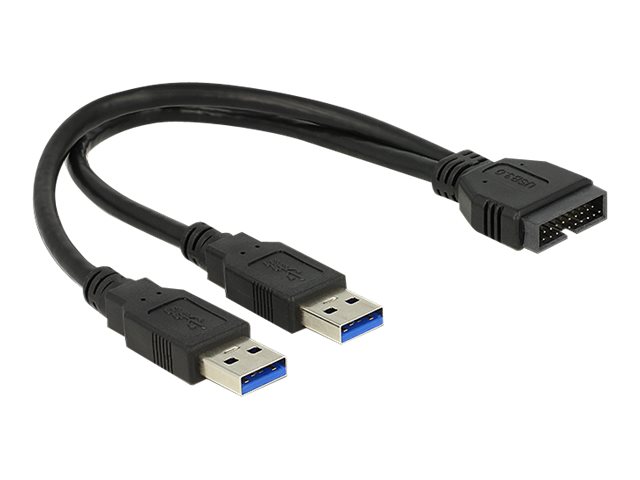 Delock - USB-Kabel intern auf extern - 19-poliger USB 3.0 Kopf (M) zu USB Typ A (M) - 25 cm - Schwarz