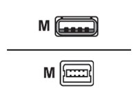 Cisco Console Cable - USB-Kabel - USB (M) zu Mini-USB, Typ B (M) - 1.83 m - fr P/N: IR829B-2LTE-EA-RK9, IR829B-LTE-EA-RK9, IR82