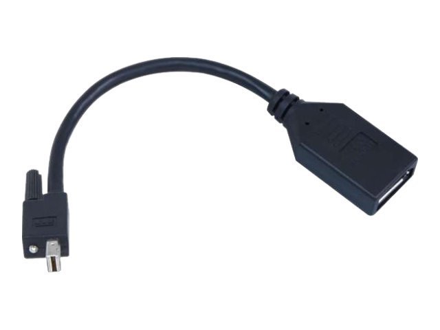 Matrox TripleHead2go upgrade - DisplayPort-Adapter - Mini DisplayPort (M) zu DisplayPort (W) - für Matrox M9138, M9148, M9188; G