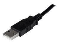 StarTech.com USB auf DVI Video Adapter - Externe Multi Monitor Grafikkarte fr PC und MAC - 1920x1200 - USB/DVI-Adapter - USB (M