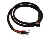 Cradlepoint - GPIO-Kabel - Molex, 20-polig, zweireihig zu ohne Stecker - 1.98 m - fr COR IBR1700-1200M, IBR1700-1200M-B, IBR170