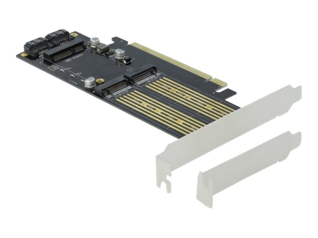 Delock - Speicher-Controller - mSATA, M.2 - M.2 Card / mSATA Low-Profile - SATA 6Gb/s, PCIe 4.0 x16