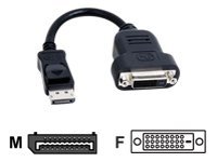 Matrox TripleHead2go upgrade - Display-Adapter - DisplayPort (M) zu DVI-D (W) - 20 cm - für Matrox M9128 LP, M9138, M9148, M9188