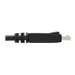 Eaton Tripp Lite Series DisplayPort Cable with Latching Connectors, 4K 60 Hz (M/M), Black, 10 ft. (3.05 m) - DisplayPort-Kabel -