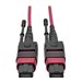 Eaton Tripp Lite Series 100G MTP/MPO Multimode OM4 Plenum-Rated Fiber Optic Cable (F/F), 12 Fiber, 40/100GBASE-SR4, Push/Pull Ta