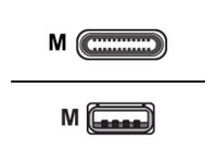Zebra - USB-Kabel - USB (M) zu 24 pin USB-C (M) - weltweit (Packung mit 5)