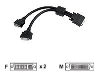 Matrox - DVI-Kabel - LFH 60-Polig (M) zu DVI-I (W) - 30 cm - für Millennium G450, G550, P650; QID