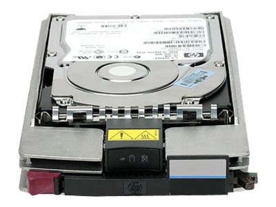 HPE StorageWorks Virtual Array - Festplatte - 600 GB - Hot-Swap - Fibre Channel - 10000 rpm