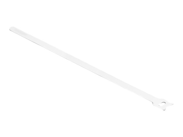 Delock - Kabelbinder - 30 cm - weiss (Packung mit 10)