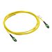 HPE InfiniBand NDR - InfiniBand-Kabel - MPO-8 zu MPO-8 - 30 m - Glasfaser