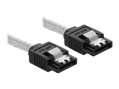 Delock - SATA-Kabel - Serial ATA 150/300/600 - SATA (R) zu SATA (R) - 30 cm - durchsichtig