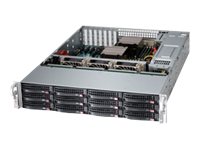Supermicro SuperStorage Server 6028R-E1CR12T - Server - Rack-Montage - 2U - zweiweg - keine CPU