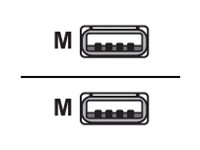 Lenovo - USB-Kabel - USB (M) zu USB (M) - USB 2.0 - 15 m - Schwarz