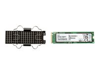 HP Z Turbo Drive - SSD - verschlsselt - 512 GB - intern - PCIe