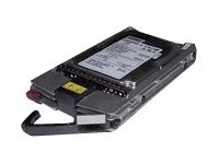 HPE - Festplatte - 300 GB - Hot-Swap - 3.5