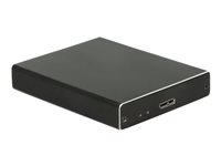 Delock External Enlosure 2 x M.2 Key B to Superspeed USB - Schnittstellenadapter - M.2 - RAID RAID 0, 1 - USB 3.1 (Gen 2) - Schw