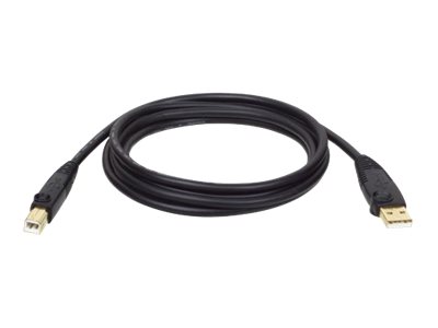 Eaton Tripp Lite Series USB 2.0 A to B Cable (M/M), 10 ft. (3.05 m) - USB-Kabel - USB (M) zu USB Typ B (M) - USB 2.0 - 3 m