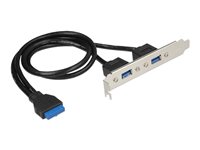 Delock Slot bracket - USB-Konsole - USB Typ A (W) zu 19-poliger USB 3.0 Kopf (W) - fr Delock Converter M.2