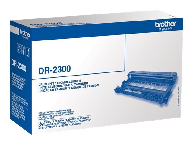 Brother DR2300 - Original - Trommeleinheit - fr Brother DCP-L2500, L2520, L2560, HL-L2300, L2340, L2360, L2365, MFC-L2700, L272