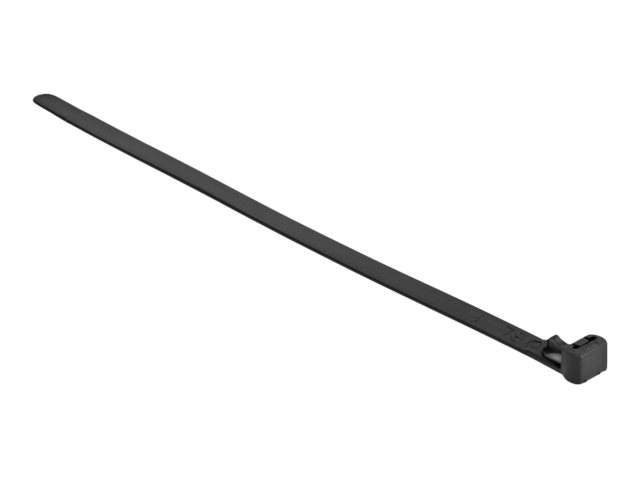 Delock - Kabelbinder - wrmebestndig, wiederverwendbar - 30 cm - Schwarz (Packung mit 100)
