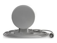 Cisco Meraki - Antenne - Navigation - 2 dBi - ungerichtet - aussen, Wandmontage mglich, Stangenbefestigung
