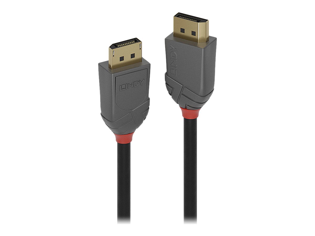 Lindy Anthra Line - DisplayPort-Kabel - DisplayPort (M) zu DisplayPort (M) - DisplayPort 1.4 - 50 cm - rund