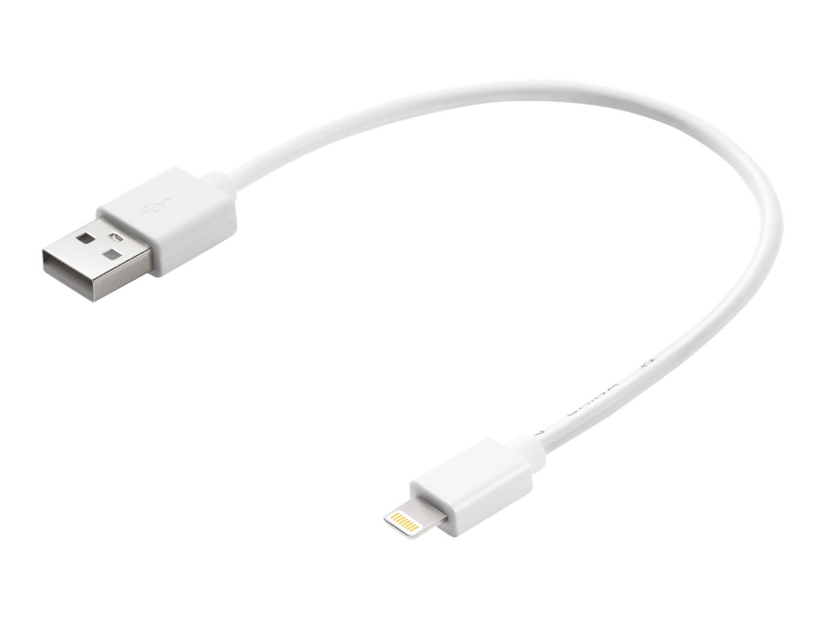 Sandberg - Lightning-Kabel - Lightning männlich zu USB männlich - 20 cm - für Apple iPad/iPhone/iPod (Lightning)