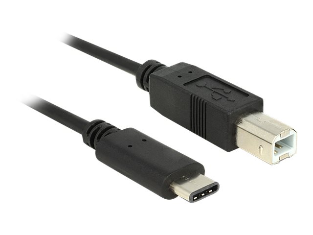Delock - USB-Kabel - 24 pin USB-C (M) zu USB Typ B (M) - USB 2.0 - 3 A - 50 cm