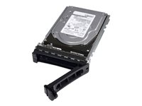 Dell - Festplatte - 2 TB - Hot-Swap - 3.5
