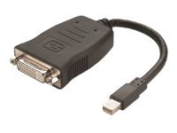 Sapphire - DisplayPort-Adapter - Mini DisplayPort (M) zu DVI-I (M) (Packung mit 6) - fr AMD FirePro W600
