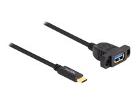 Delock - USB-Kabel - USB Typ A (W) zu 24 pin USB-C (M) - USB 3.2 Gen 2 - 3 A - 1 m