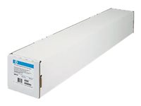 HP Everyday - Polyethylen (PE), Holzfaser - seidig - 9,1 Mil - Roll (61 cm x 30,5 m) - 235 g/m