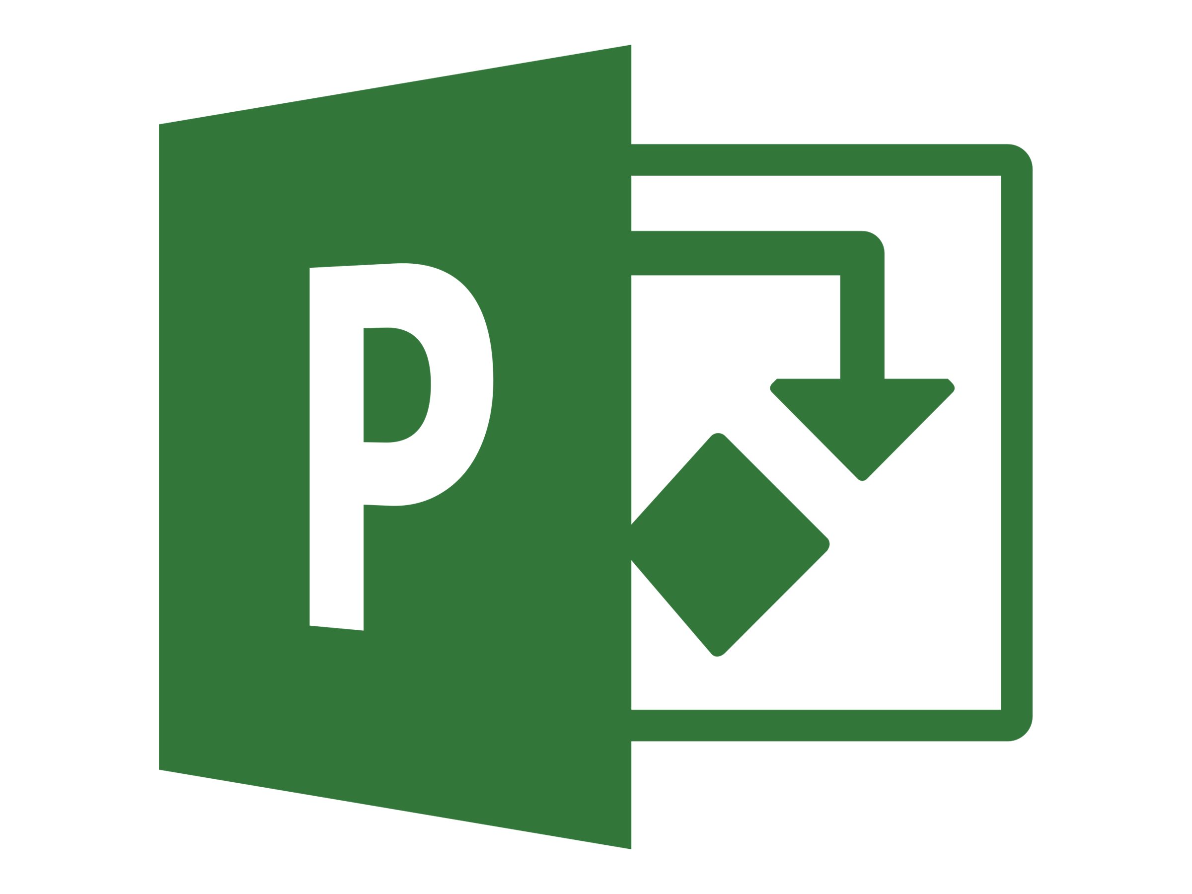 Microsoft Project Pro for Office 365 - Abonnement-Lizenz (1 Monat) - 1 Benutzer - gehostet - CSP