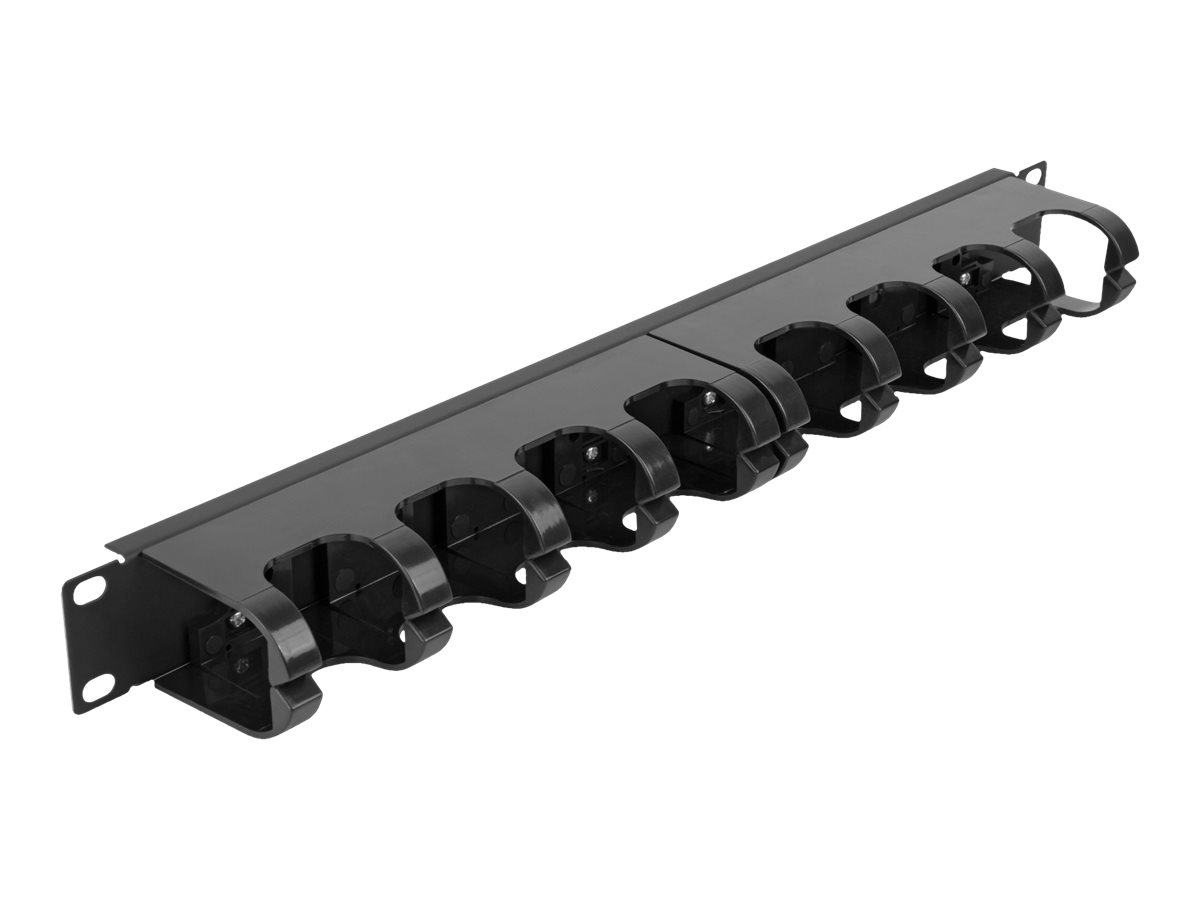 Delock - Verlegetafel fr Rack-Kabelmanagement - mit 10 geschlossenen Kabelbgeln - Schwarz - 1U - 48.3 cm (19