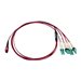 Eaton Tripp Lite Series 40/100G Multimode 50/125 OM4 Fiber Optic Cable (12F MTP/MPO-PC to 4x Duplex LC/PC F/M), LSZH, Magenta, 1