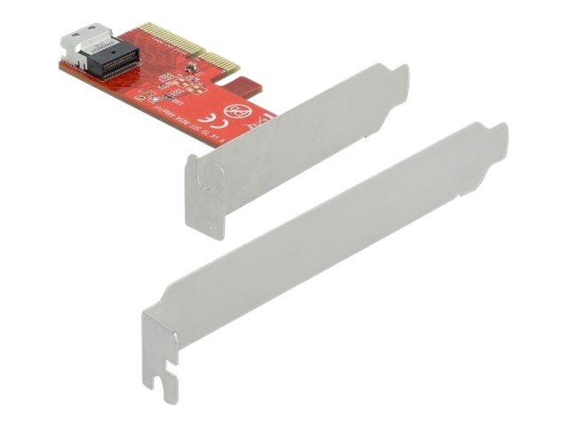 Delock - Schnittstellenadapter - U.2 NVMe Low-Profile - 64 Gbit/s - PCIe 4.0 x4