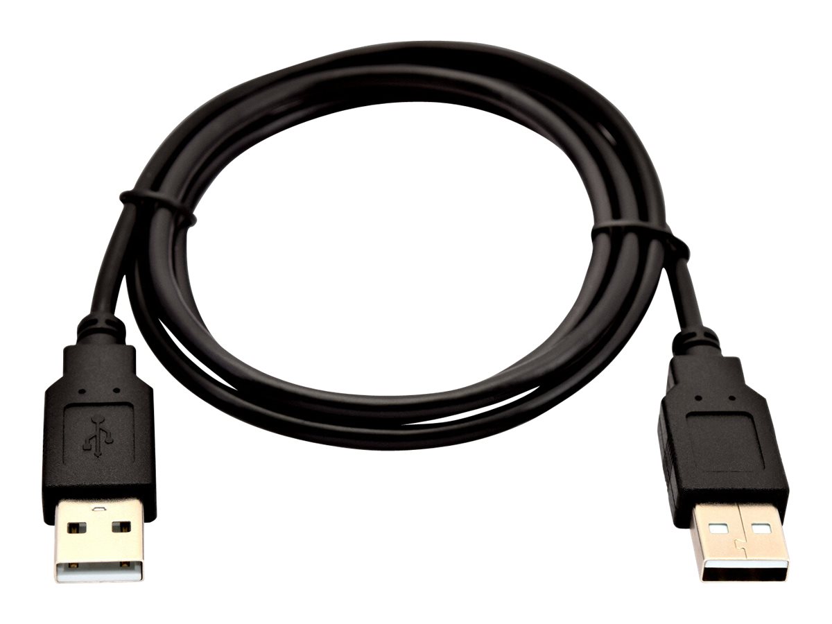 V7 - USB-Kabel - USB (M) zu USB (M) - USB 2.0 - 2 m