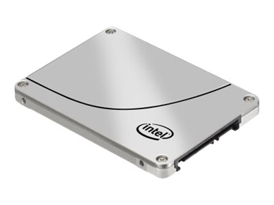 Lenovo S3500 Enterprise Value - SSD - 480 GB - Hot-Swap - 2.5