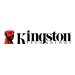 Kingston IronKey Vault Privacy 80 - SSD - verschlsselt - 3840 GB - extern (tragbar) - USB 3.2 Gen 1 (USB-C Steckverbinder)