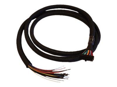 Cradlepoint - GPIO-Kabel - Molex, 20-polig, zweireihig zu ohne Stecker - 1.98 m - für COR IBR1700-1200M, IBR1700-1200M-B, IBR170