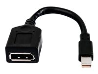 HP - Videoadapter - Mini DisplayPort zu DVI-D