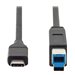 Ednet - USB-Kabel - 24 pin USB-C (M) zu USB Type B (M) - USB 3.0 - 3 A - 1.8 m
