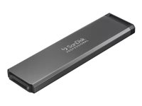 SanDisk Professional PRO-BLADE SSD Mag - SSD - 1 TB - extern (tragbar)