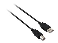 V7 - USB-Kabel - USB (M) zu USB Typ B (M) - USB 2.0 - 1.8 m - Schwarz