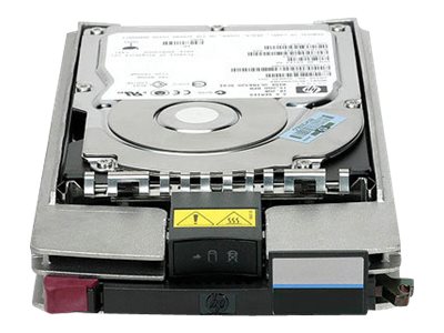 HPE Dual Port - Festplatte - 300 GB - Hot-Swap - 4Gb Fibre Channel - 15000 rpm