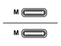 Roline Green - USB-Kabel - USB-C (M) zu USB-C (M) - USB 3.2 Gen 2 - 20 V - 5 A