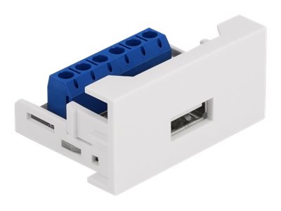 Delock - Easy 45 - Einrastmodul - USB - 1 Modul - weiss, RAL 9003