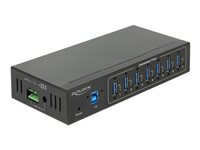 DeLock External Industry Hub 7 x USB 3.0 Type-A with 15 kV ESD protection - Hub - 7 x SuperSpeed USB 3.0 - wandmontierbar - Glei